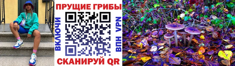 Галлюциногенные грибы MAGIC MUSHROOMS  Кораблино 